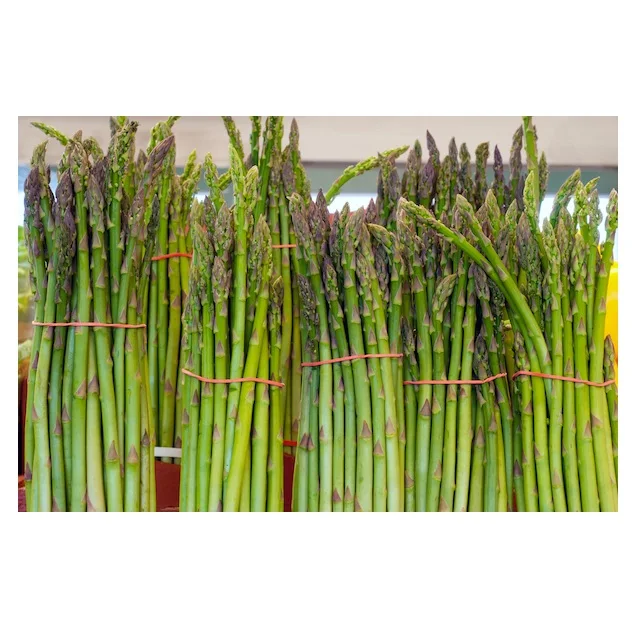 Bulk Stock Available Of Fresh Vegetables Asparagus At Wholesale Prices