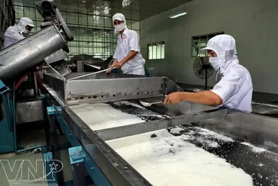 Hot sale Vietnam Desiccated coconut powder high quality good price ( whatsapp : 0084949556368 )