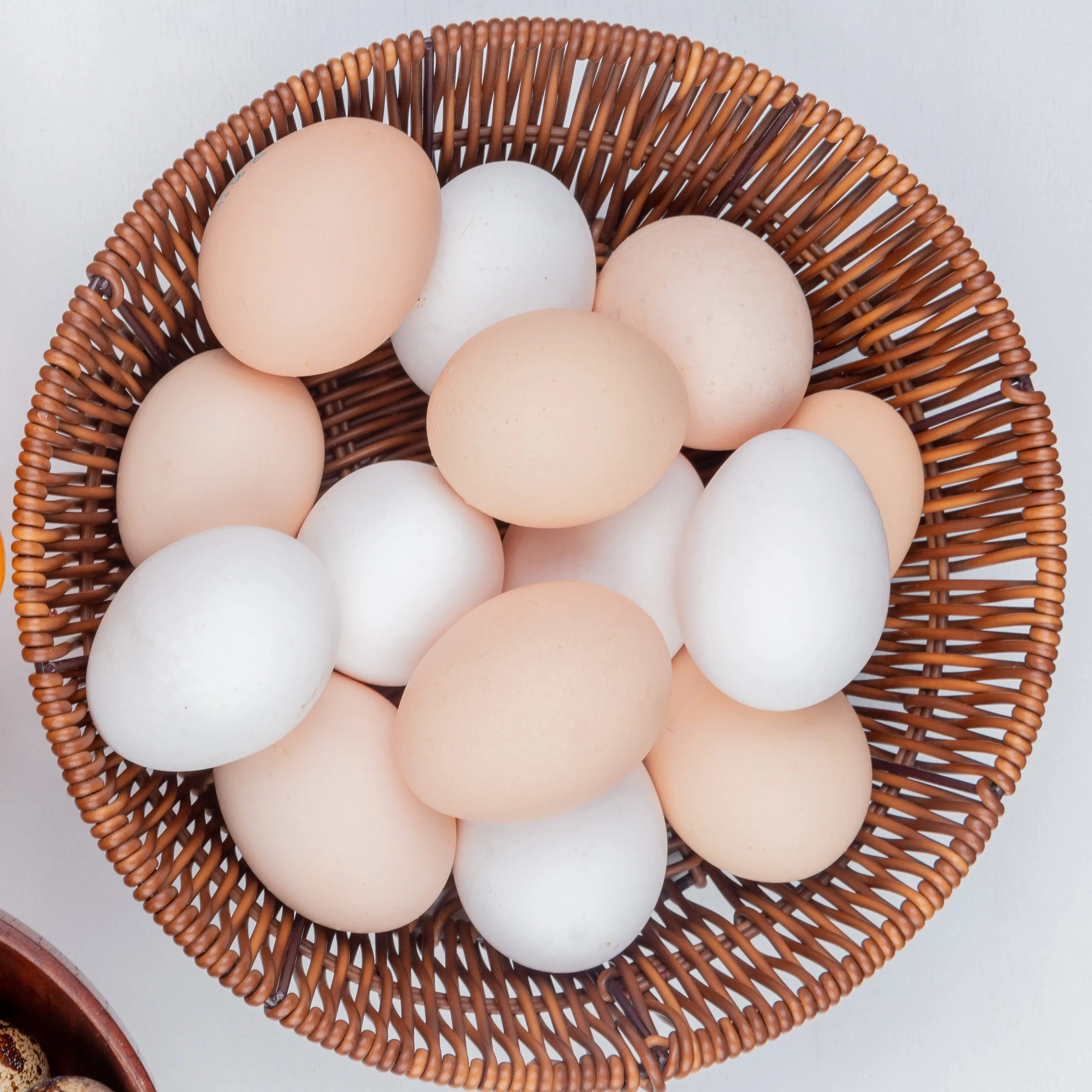 Broiler Hatching Eggs Cobb 500 and Ross 308 / Chicken