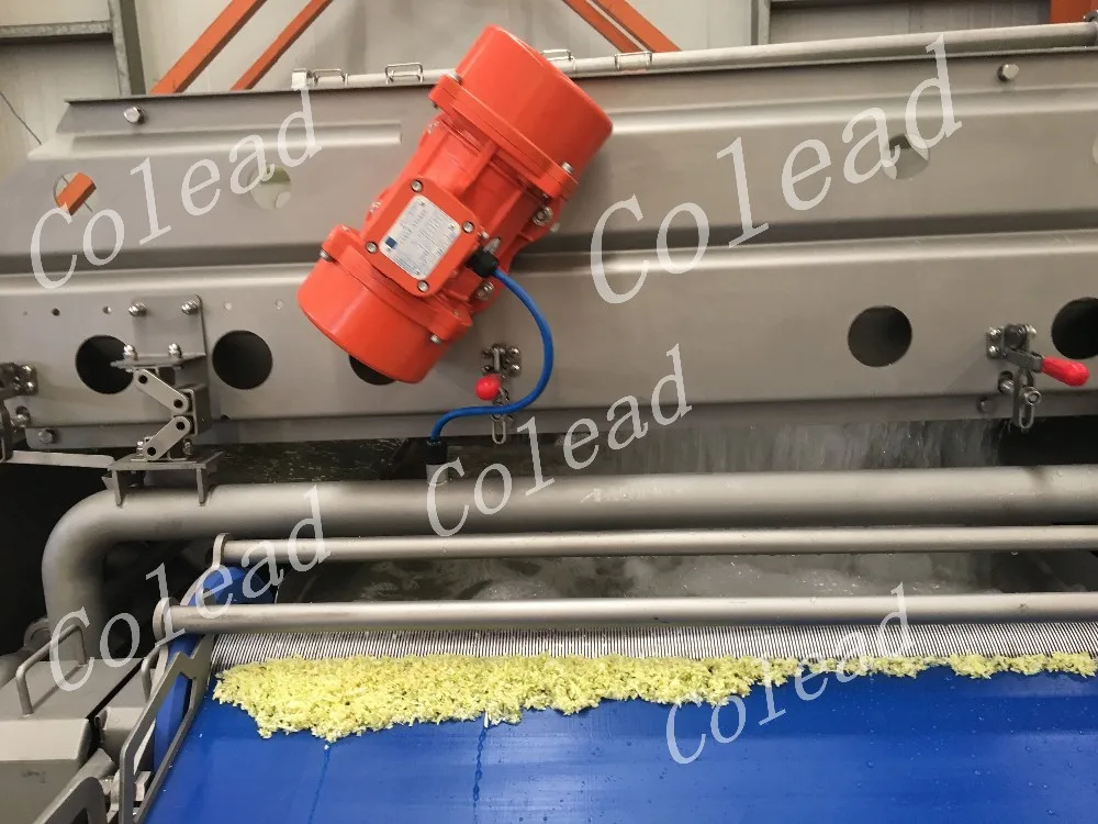 Vegetable Leaf Rotary Washing Machine for salad processing line