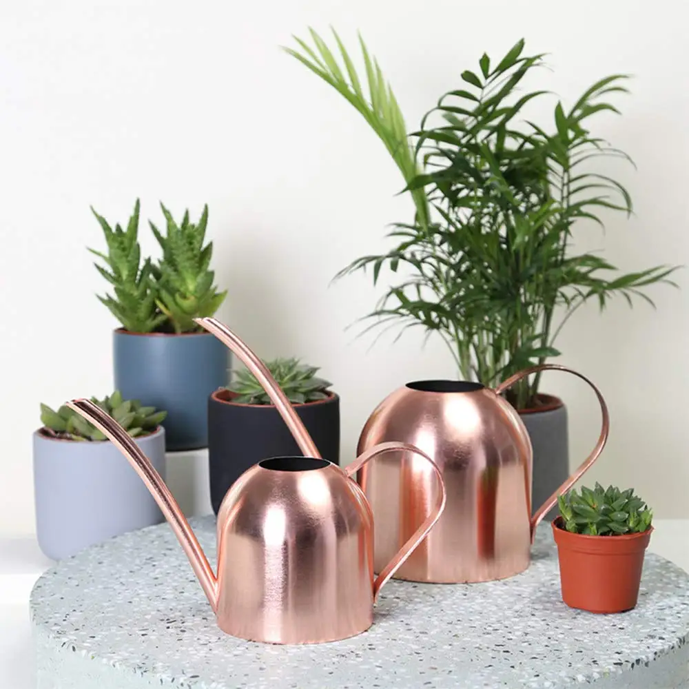 Luxury Watering Can Indoor Outdoor for Kids House Desk Office Plants and Garden Bonsai Stainless Steel (15oz) Copper