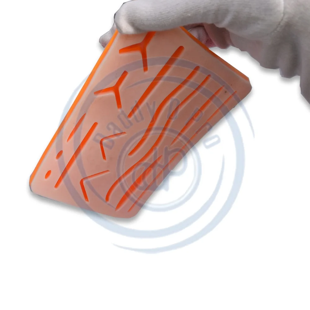 Durable Silicone Skin Suture Training Model with Multiple Cut Wounds Medical Science Teaching Resource by DADDY D PRO CE ISO