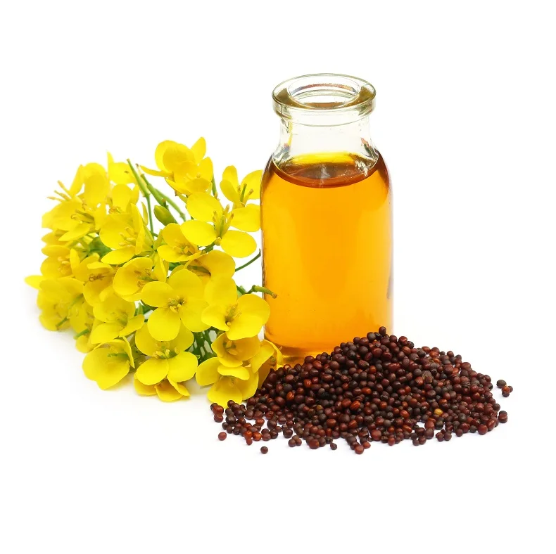 Wholesale Dealer Good Quality Cheap Price Refined Rapeseed Oil / Canola Oil / Crude rapeseed oil For Export