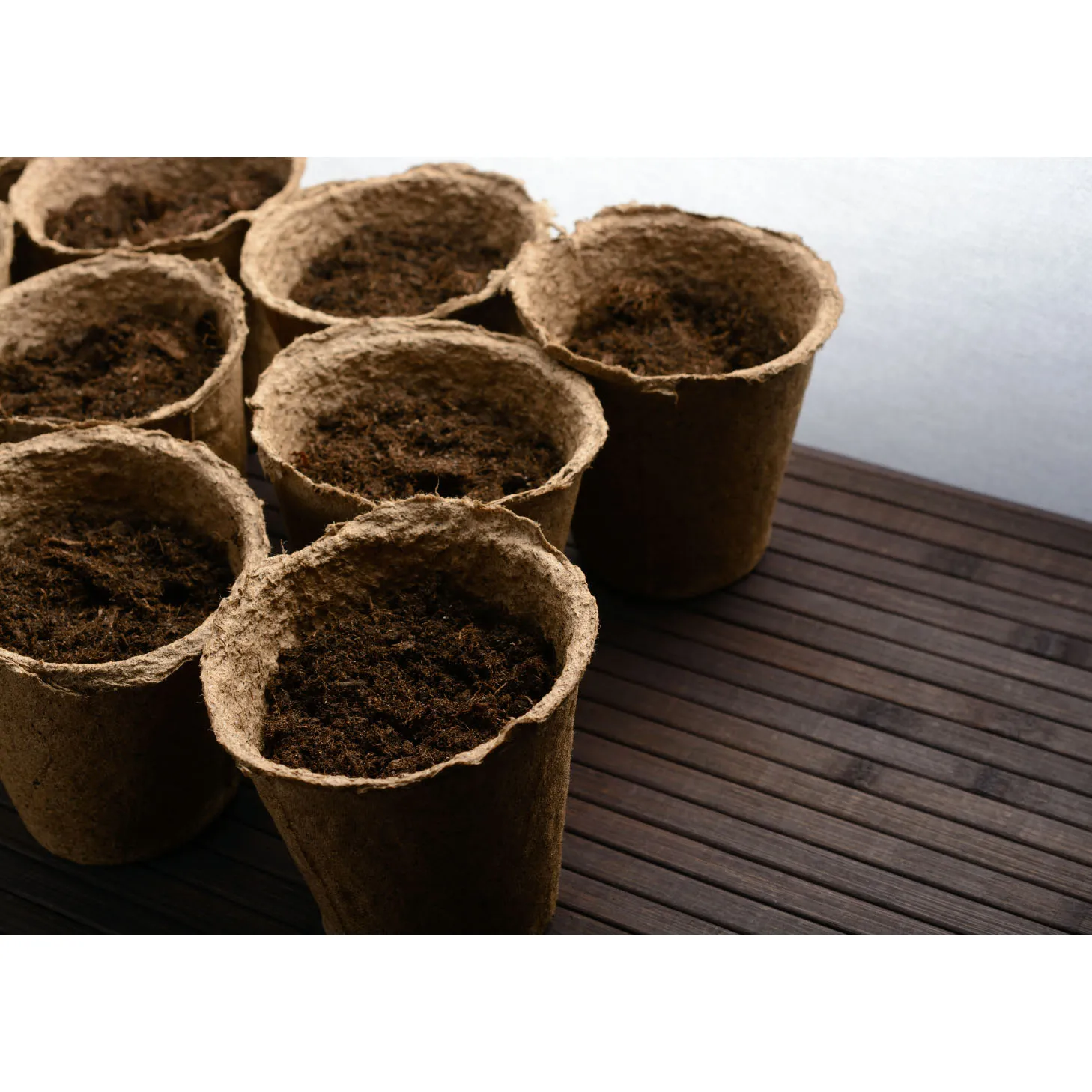 COIR SEEDLING CUP FOR SALE FROM INDIA
