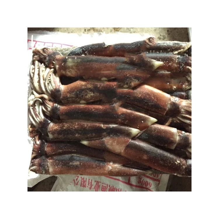 Wholesale Fresh Dried Illex Squid  Export Argentina Squid cheap price