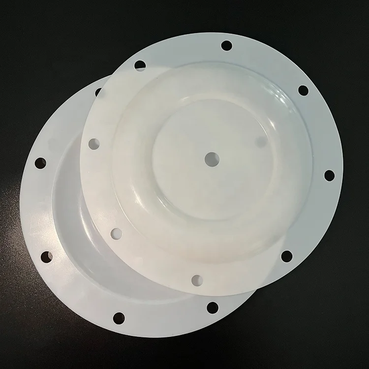Factory Wholesale High Quality Pump Spare Parts PTFE Diaphragm for Skylink Vacuum Pump