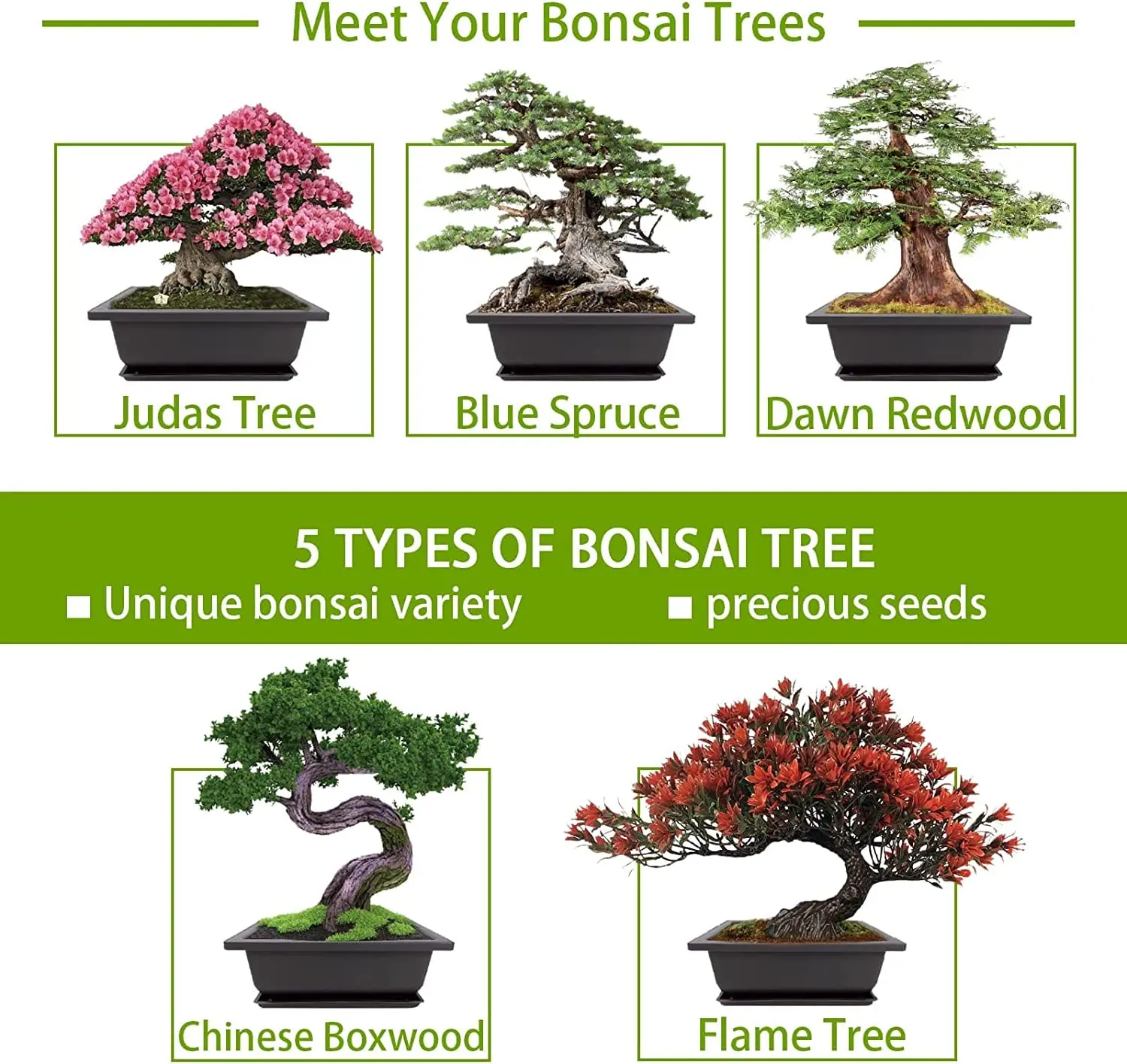Bonsai Tree Kit with Complete Plant Growing Tools Grow in Pot Indoor Bonsai Tree Starter Kit Home Gardening DIY Gift for Adult