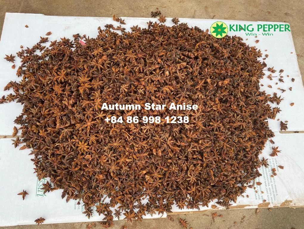 New Crop Vietnam Star Anise Autumn and Spring at Good Prices Spices And Herbs For Food Ingredients