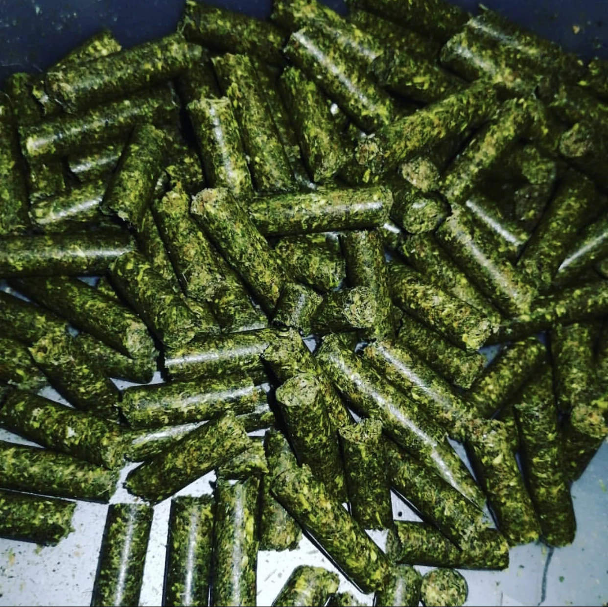 High Quality Alfalfa Hay / Alfalfa Hay Pellets /  Cheap Alfalfa Hay for Animal Feeding Stuff