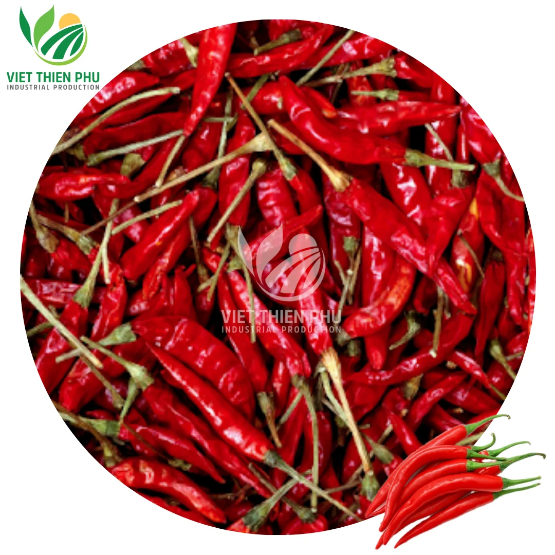 Dried Red Chilli Top Selling Standard Humidity For Seasoning Custom Design Carton Box Packing From Vietnam Manufacturer