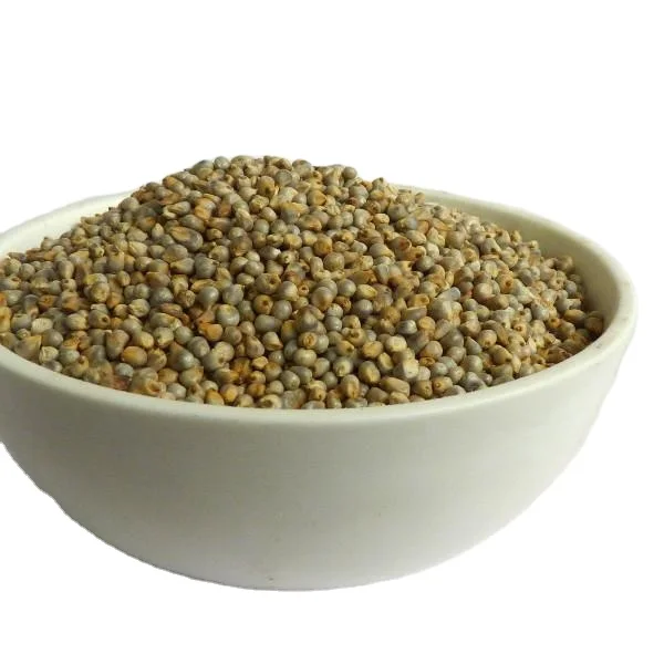 Green Millet Animal Feed Available for Export