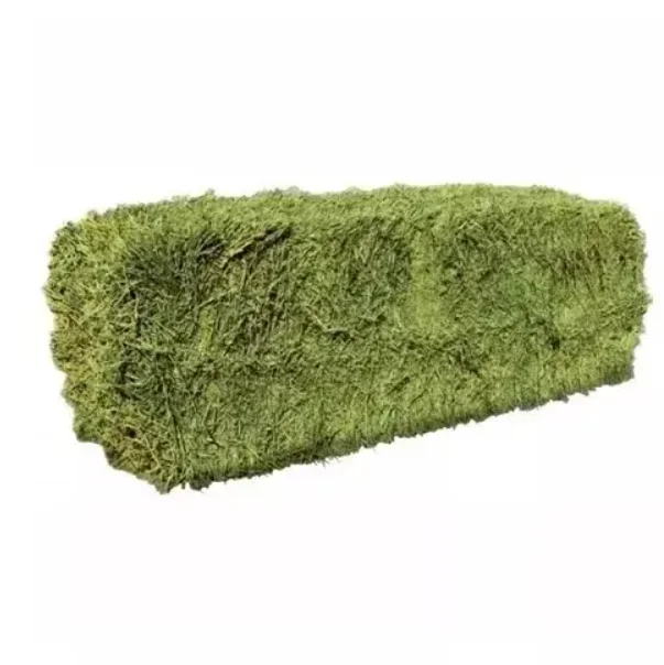 Best Supplier Cheap Alfalfa Hay / Alfalfa Hay Animal Feed / Premium Alfalfa Hay in bales For Sale