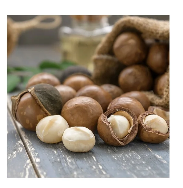 Natural Nuts Dry Hot Sell Grain Shelled Hand Peel Macadamia Nuts Roasted Food Custom Packaging Macadamia Nuts for Sale