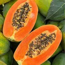 Cheapest price - FROZEN PAPAYA TROPICAL FRUIT - Natural Sweet from MEKONG DELTA VIETNAM