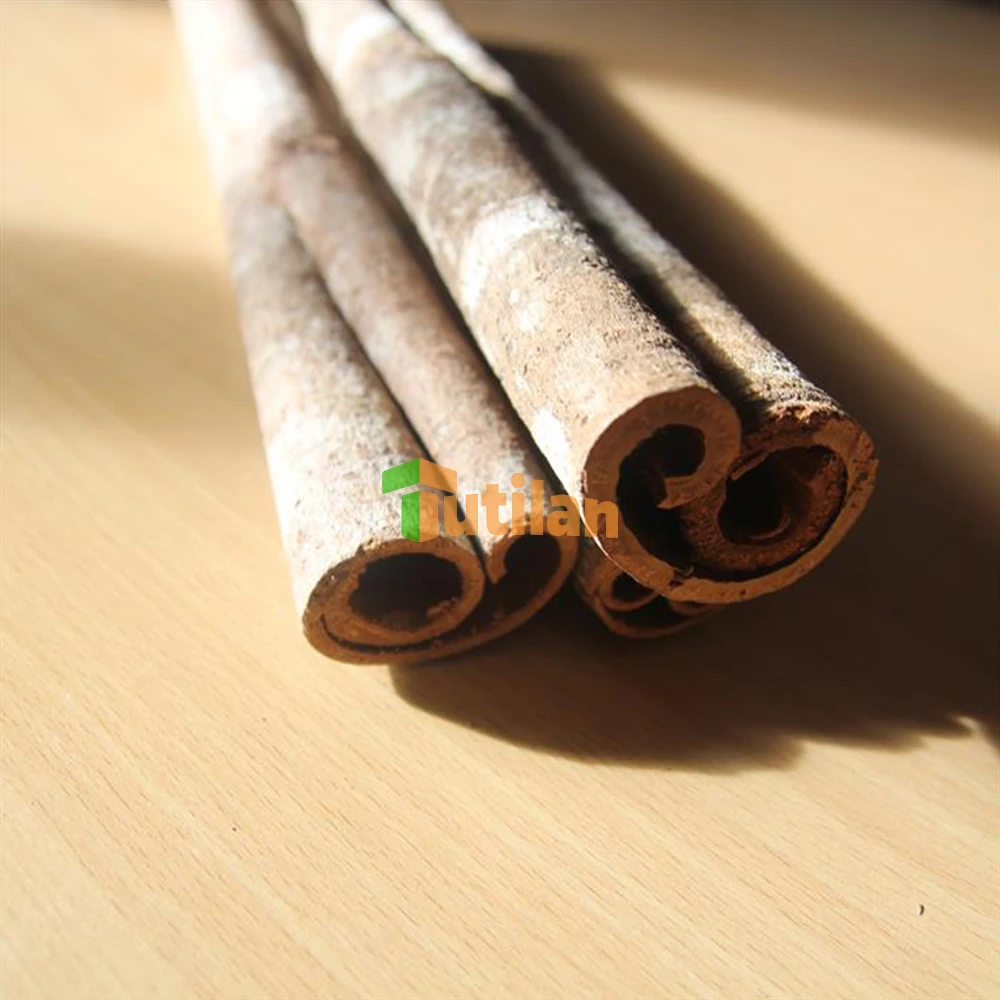 Planting Quality Assurance Dried Cinnamon Factory Wholesale Price Cassia Cinnamon Stick
