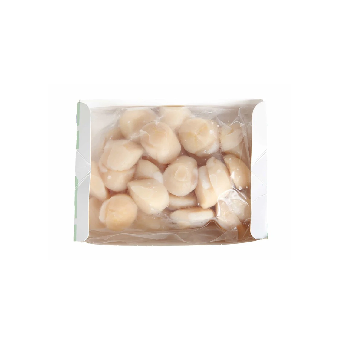 frozen sea scallop meat with scallop scallop shellfish