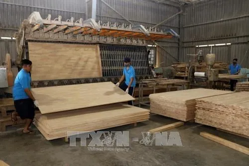 Certified Factory sales high-quality rubber wood finger joint board rubber wood core veneer rubber wood