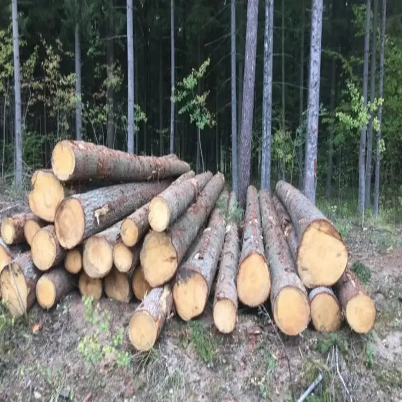 Beech Wood Logs / Sawn Spruce Wood Logs Pine Wood lumber