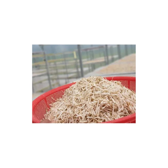 BOOST VITALITY: THE VITAMINS AND MINERALS IN SOURSOP TEA CAN HELP INCREASE YOUR ENERGY LEVELS