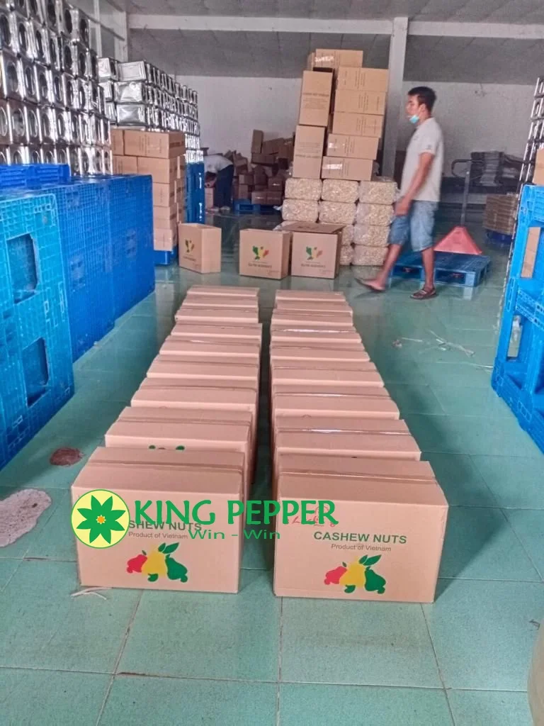 VIETNAM CASHEW NUTS BEST PRICE GOOD QUALITY from HP Group 0084 86 998 1238 (Whatsapp)