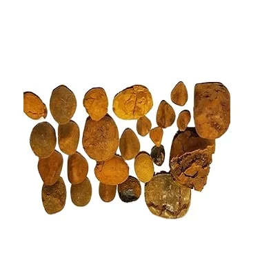 Wholesale Price OX gallstones Cattle OX Gallstones Cow gallstones