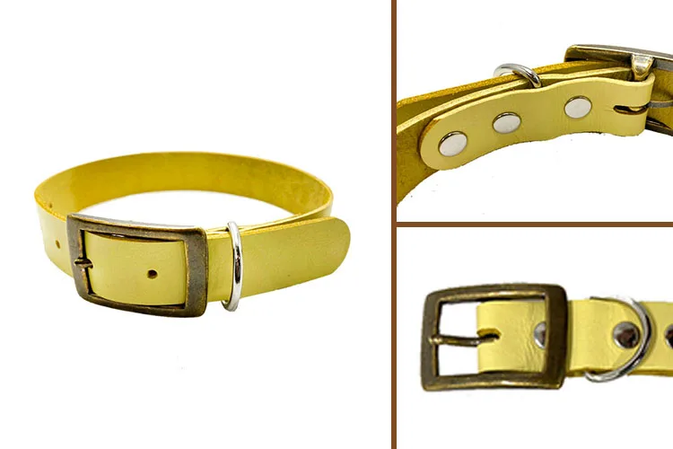 Dog Collar T16-1 N3L07-2