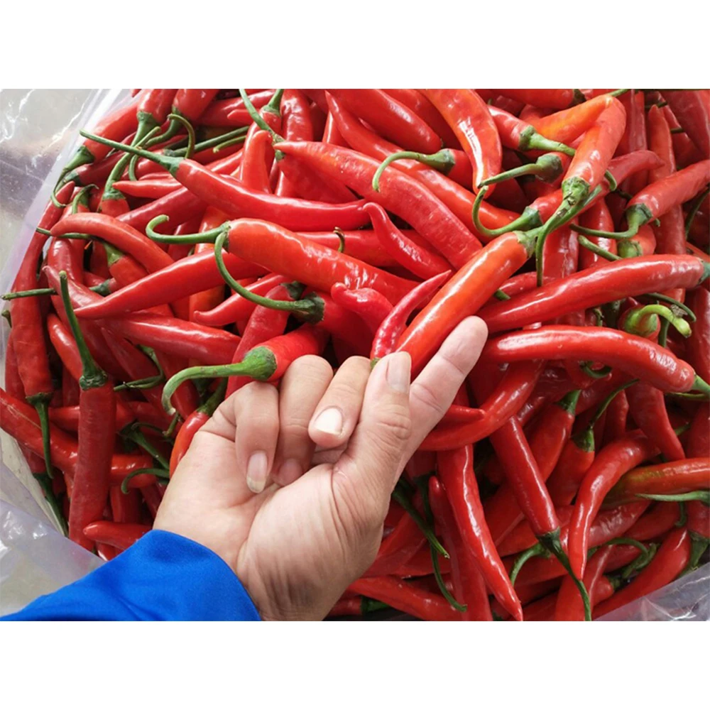 Factory 100% Pure Chili Pepper Smoked Fresh Red Pepper For Food Seasoning For Export In Bulk