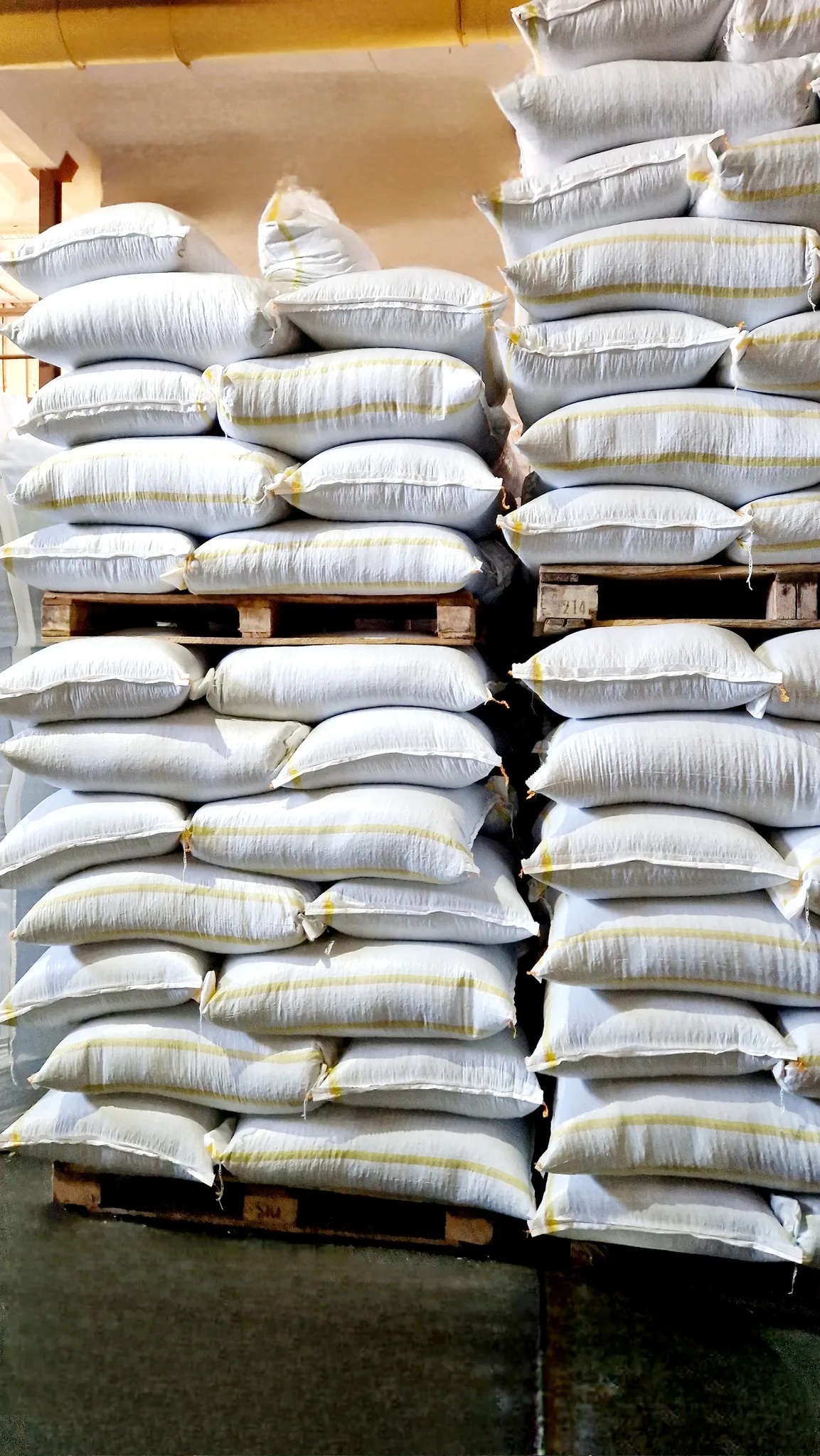 Black Sunflower Seeds