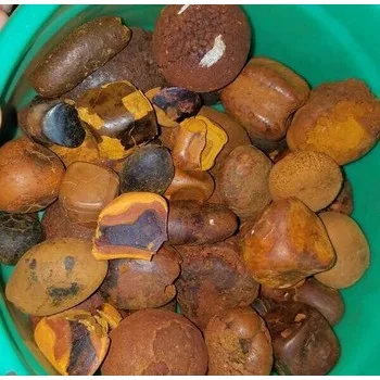 High Quality Cow Ox Gallstone  Bovine Gallstone For Pharmaceutical and Many Different Use