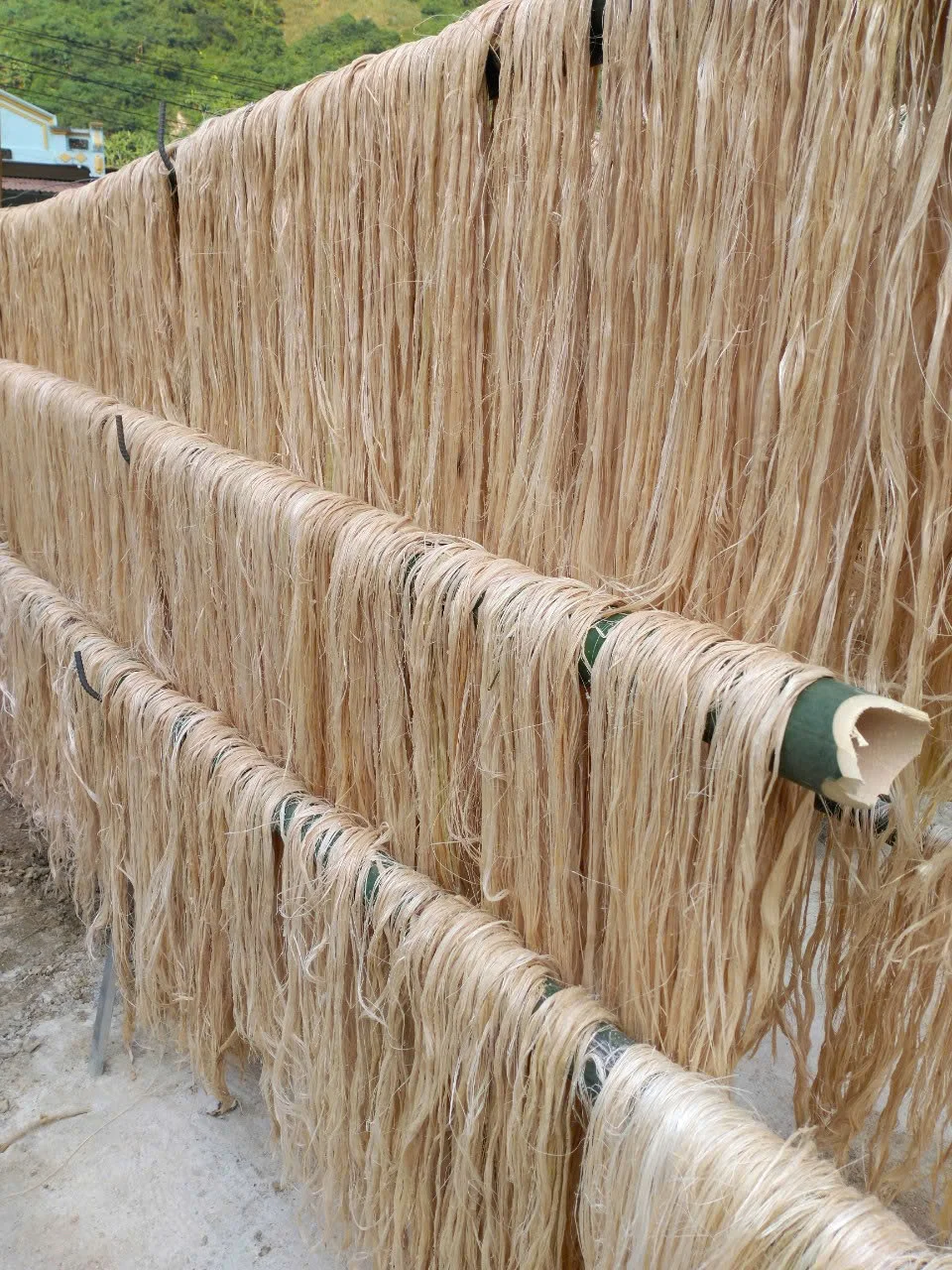 BEST PRICE VIETNAM - BANANA FIBER  PRODUCT - BEST CHOICE FOR DECORATE