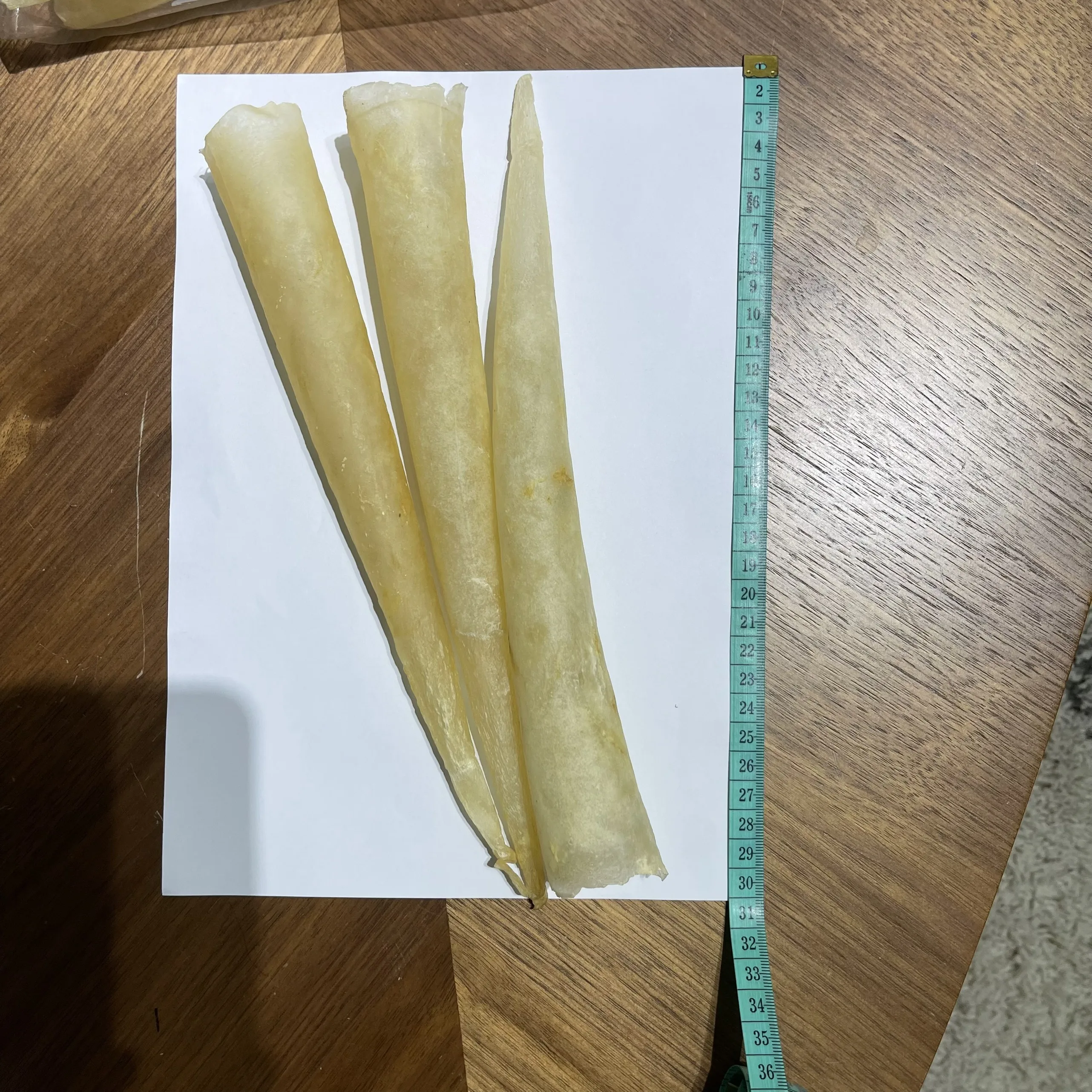 DRIED FISH MAW, NATURAL GOLDEN COLOR 100% SUN DRIED HIGH QUALITY FISH MAW FROM ABIMEX VIETNAM