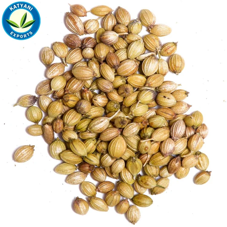 Premium Quality 100% Pure Coriander Oil: Wholesale Deals Direct from Indian Manufacturer | Bulk Coriandrum Sativum Essential Oil