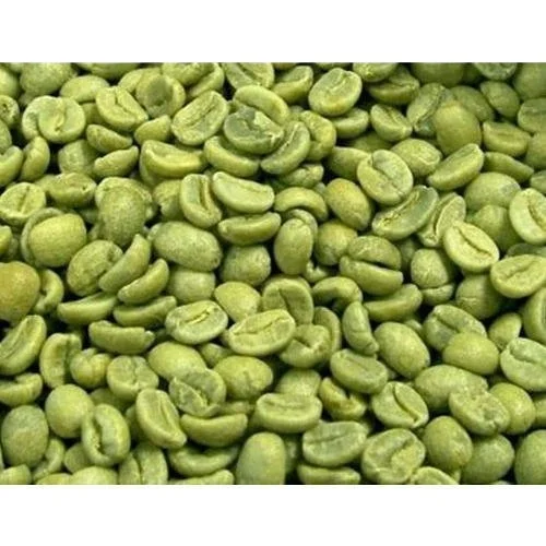 Washed Raw Arabic Green Coffee Beans Wholesale
