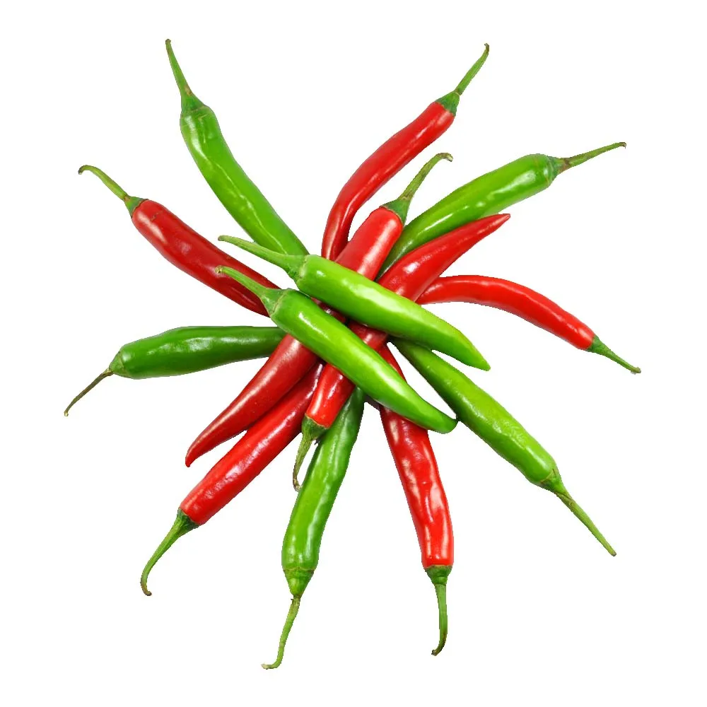 Fresh Crop green Chili Powder from India at very low price Sprey Dried Green Chili Powder for Exports