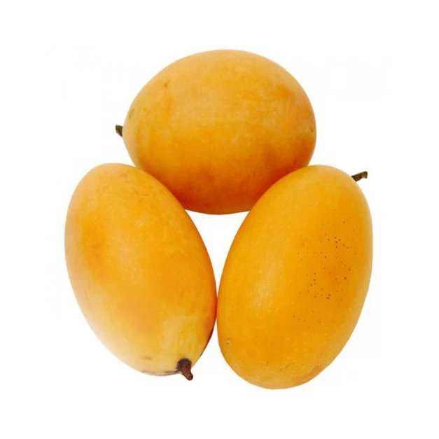 IQF FROZEN ewais mango KAEW WHOLE ORIGIN VIETNAM FROM AN VAN THINH FOOD COMPANY / MANGO CONGELADO ENTERO