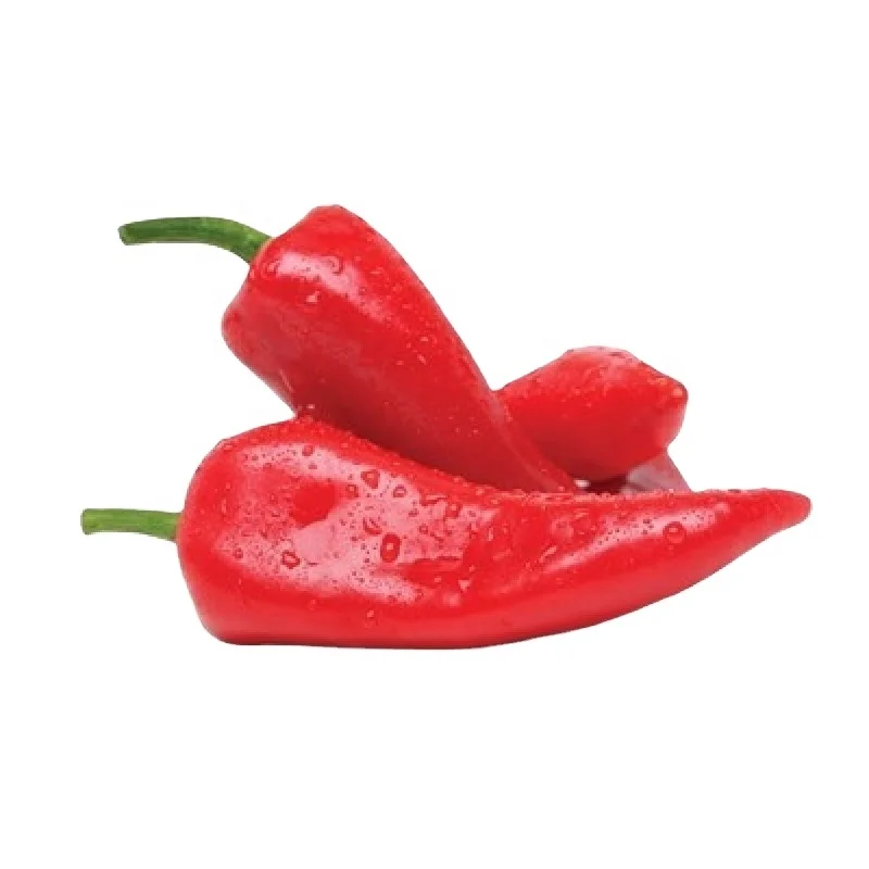 pickled kapya pepper preserved in brine in  all packages manufacturing in Egypt