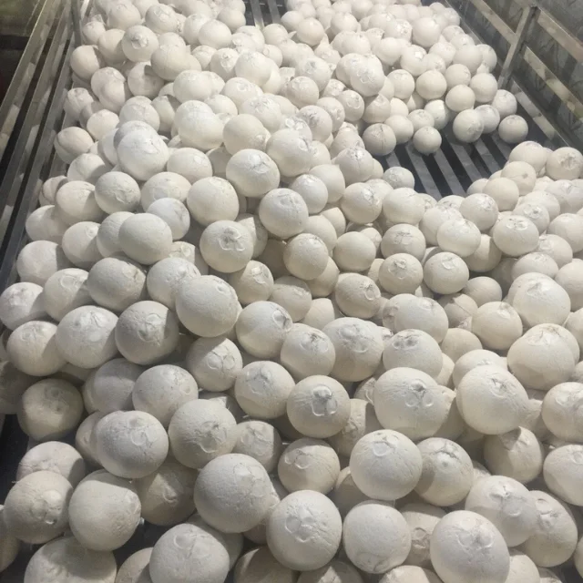 Vietnam Coconut Export With Enough License Global Gap Clean Delicious Delicious Bulk