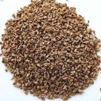 Best Selling Spices Ajwain  Bulk Export at Wholesale Price THE ELITE HERBALS