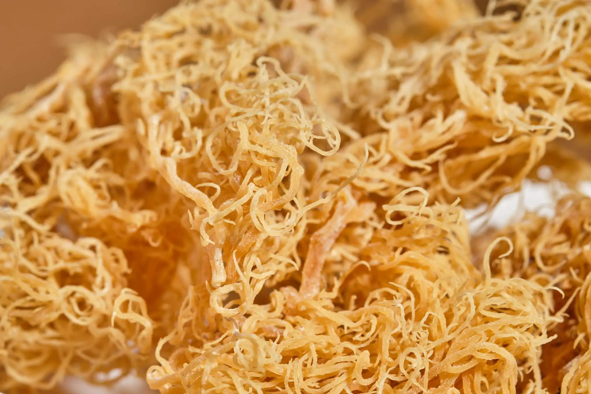 High quantity seamoss seaweed irish moss seamoss gel product all seaweed// Serena