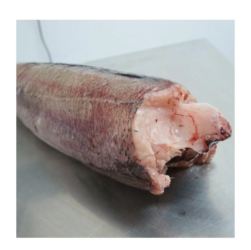 Wholesale Manufacturer and Supplier From Germany Hake whole fish, Frozen Hake fish fillet hake High Quality Cheap Price