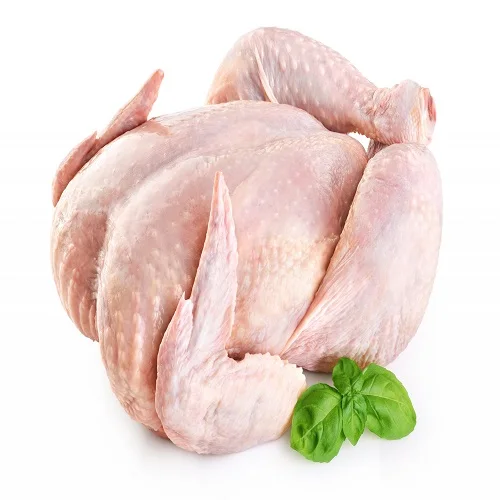 Quality Halal Frozen Whole Chicken Quality Wholesale Brazilian Halal Frozen Whole Chicken Premium Quality Frozen Whole Chicken