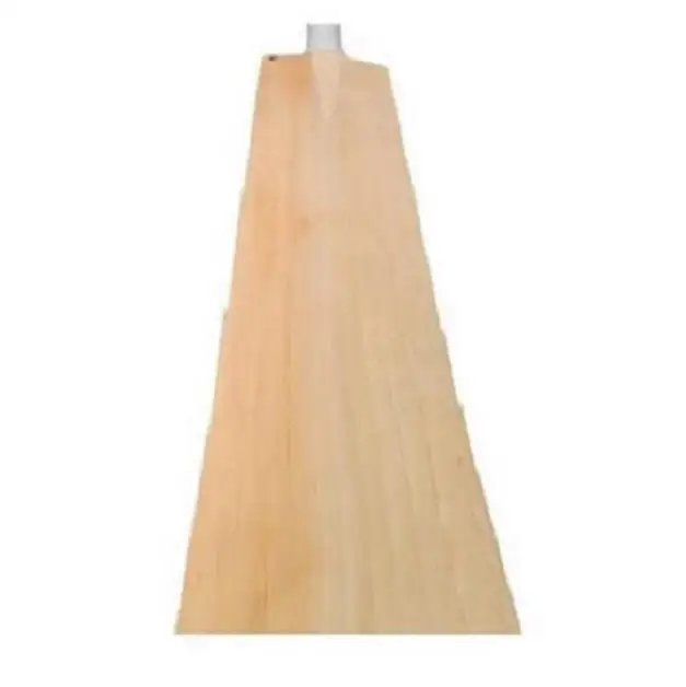 Factory Price Highest Selling Willow Cricket Bat for with Strong Grip for Adults at Affordable Price for Export