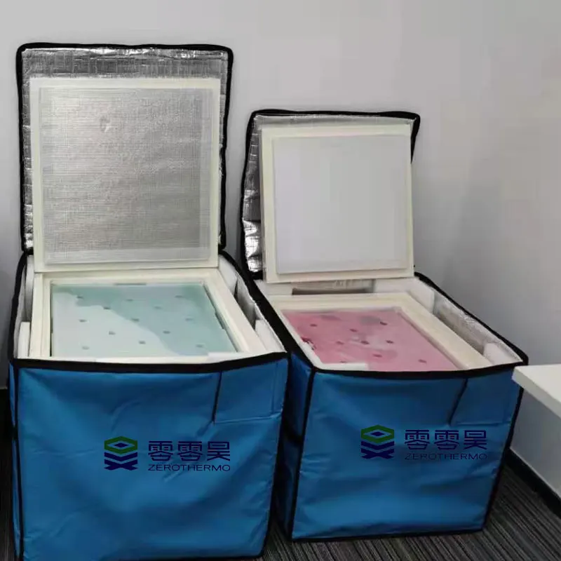 Protect Your Vaccines with Confidence With Chinese Manufacture Vaccine Transport Box Price