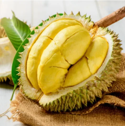 Monthong Durian Made In Vietnam So Fresh Premium Quality Fresh Whole Piece /Frozen Pulp Durian Fruit Monthong