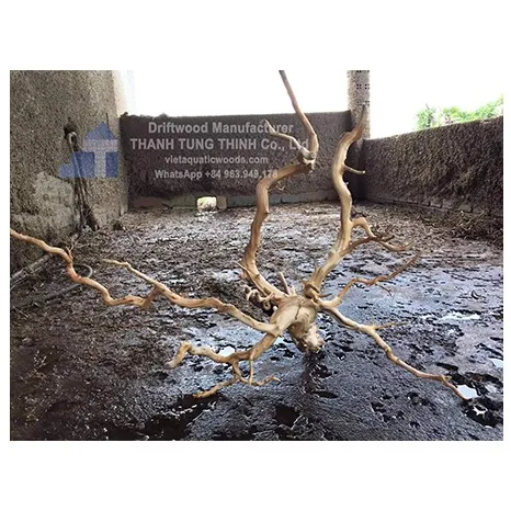 Best Seller 2024 Natural Decor Driftwood for Aquarium and Accessories from Vietnam Manufacturer WhatsApp: +84 963 949 178