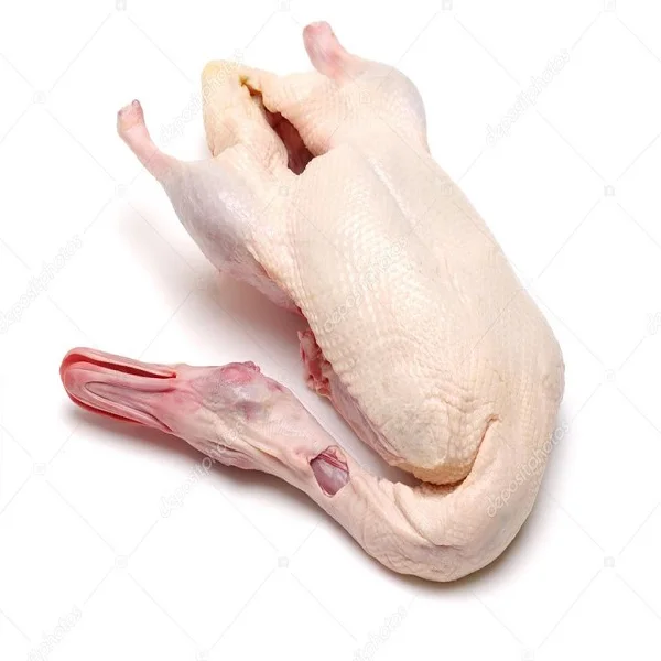 Premium Quality Best Selling Frozen Whole Duck