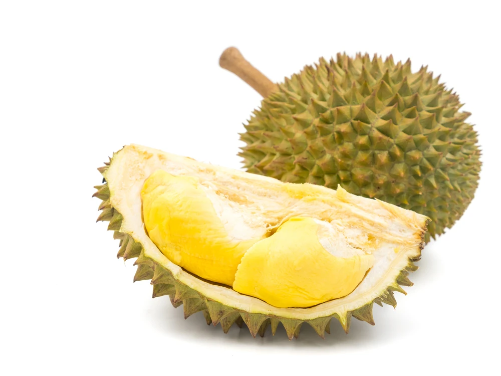 100% High Quality Fresh Delicious Vietnam Durian and Feeeze Durian