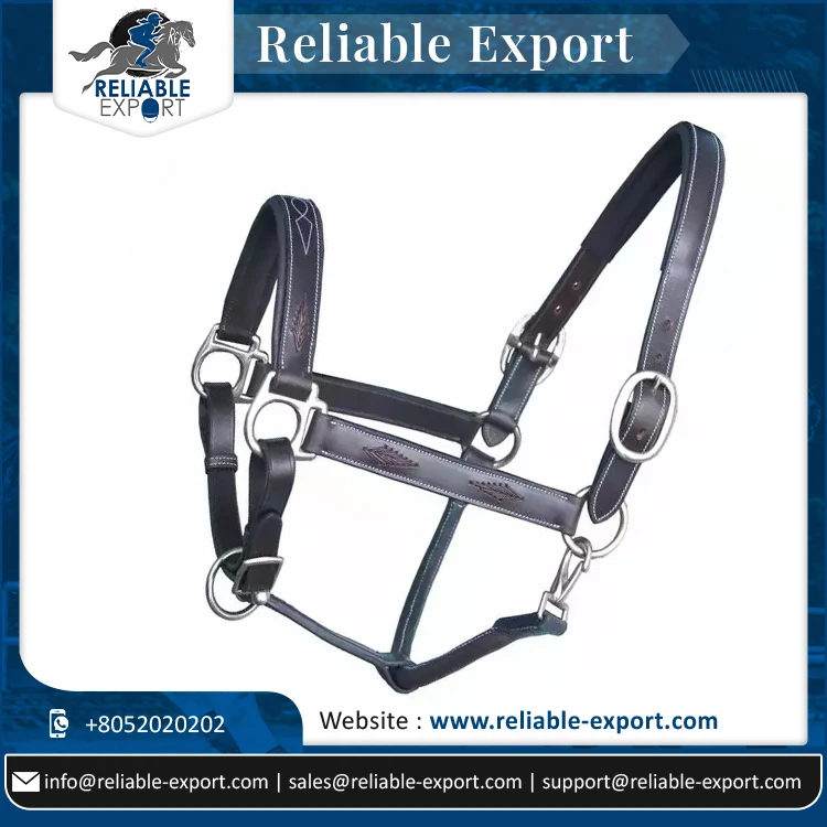 Top Quality Leather Soft Padded White Color Horse Halter With Buckles And Leather Lead With Chain Combo