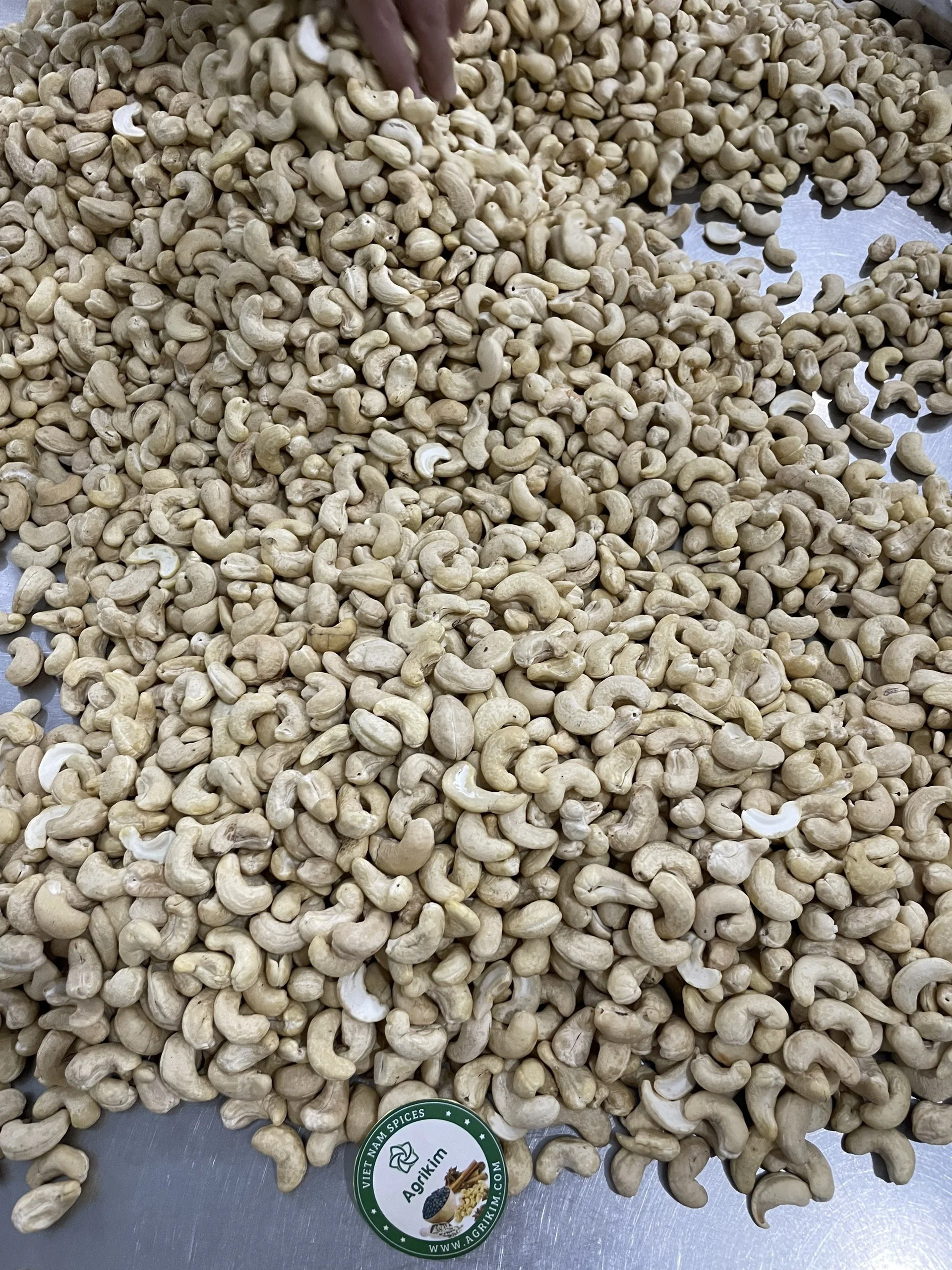 CASHEW NUTS (whatsapp +84 326055616) Best Price Raw Cashew nuts Kernel W320 Dried Wholes Cashew Nuts From Vietnam Supplier