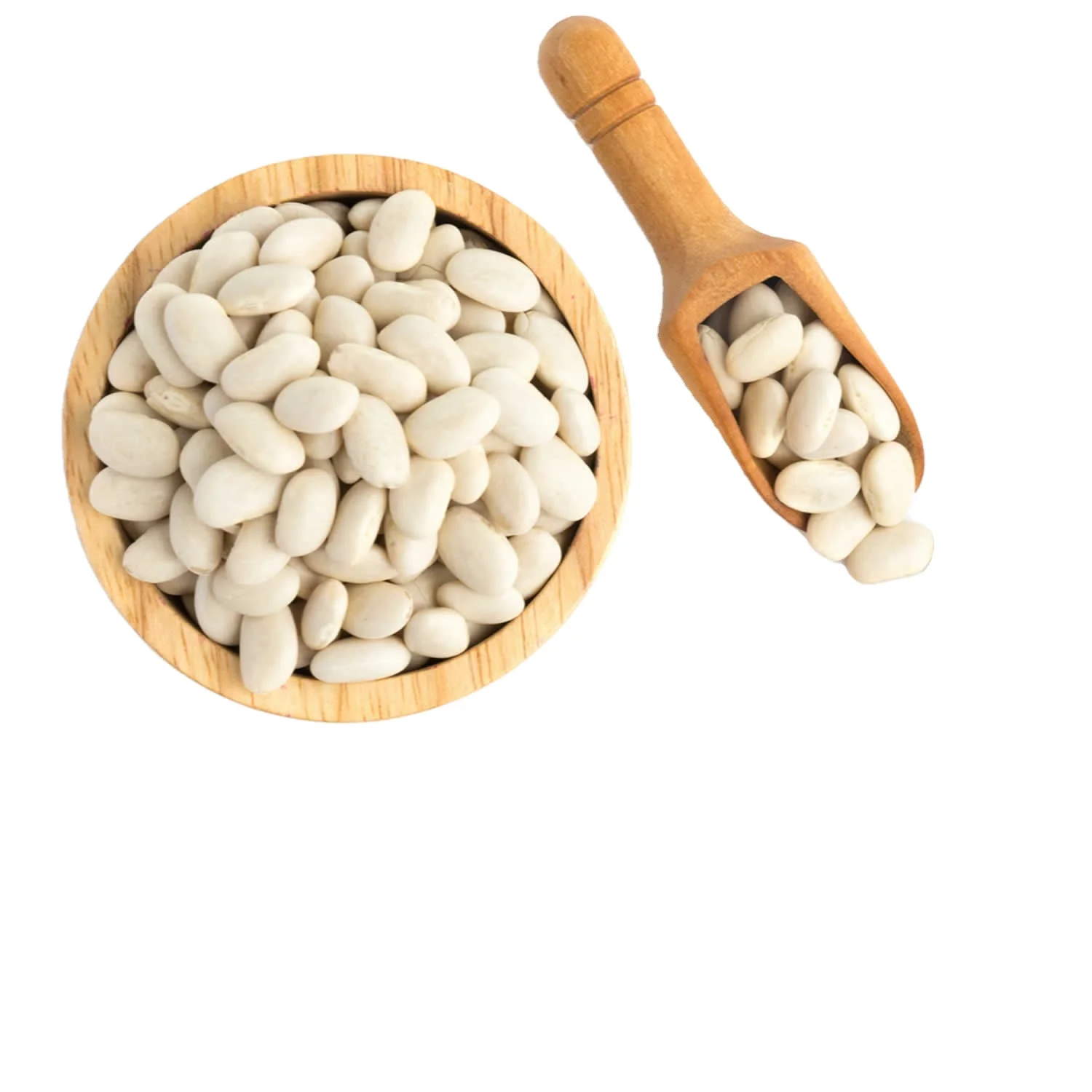 Wholesale Hot Selling Natural White Beans White Sugar Bean New Crop